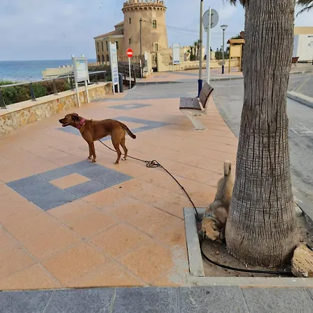 Alberto Torre de la Horadada